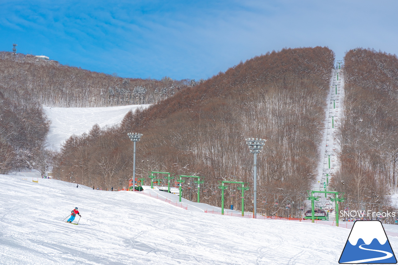 札幌藻岩山スキー場｜ふわっふわの粉雪シーズン到来！思いっきり多彩なコースを楽しみましょう！